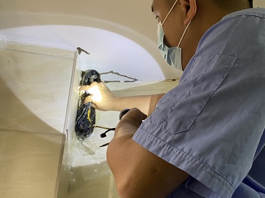 桂城杀灭白蚁机构高层住宅真的不是白蚁的“禁区”