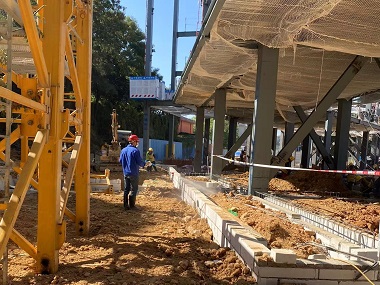 盐步白蚁预防公司建房地基如何防白蚁